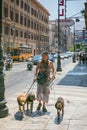 A man walking along a busy street in Palermo leading three dogs