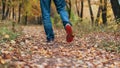 A man stops walking. The girl`s girlfriend`s. Hot girls on the nature in the park among the leaves of yellow. Autumn Royalty Free Stock Photo