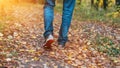 A man stops walking. The girl`s girlfriend`s. Hot girls on the nature in the park among the leaves of yellow. Autumn Royalty Free Stock Photo