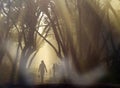 Man walking along the road, backlit at sunset