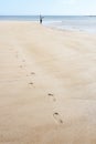 Man Walking Along Shore Of Beach Fishing Royalty Free Stock Photo