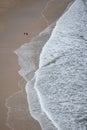 Man walking on the beach with dog, close to shore from above Royalty Free Stock Photo