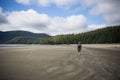 Man Walking Beach at San Josef Bay near Port Hardy, British Columbia