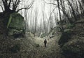 Man walking in canyon Royalty Free Stock Photo