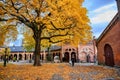 A man walking in the courtyard of the Oslo Cathedral in the autumn The trees in the garden