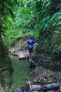 Man walking by the creek in the forest. Hikers hiking in the forest. Hiker walking in a forest beside the mountain river.