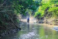 Man walking by the creek in the forest. Hikers hiking in the forest. Hiker walking in a forest beside the mountain river.