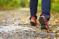 Man walking cross country trail in autumn forest Royalty Free Stock Photo