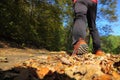 Man walking cross country trail in autumn forest Royalty Free Stock Photo