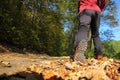 Man walking cross country trail in autumn forest Royalty Free Stock Photo