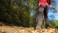 Man walking cross country trail in autumn forest Royalty Free Stock Photo