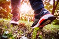 Man walking cross country and trail in spring forest Royalty Free Stock Photo