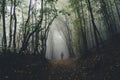 Man walking in dark Halloween forest Royalty Free Stock Photo