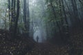 Man walking in dark mysterious forest with fog after rain