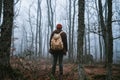 Man walking on a dark path through a spooky forest Royalty Free Stock Photo