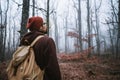 Man walking on a dark path through a spooky forest Royalty Free Stock Photo