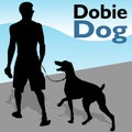 Man Walking Doberman Pinscher Dog