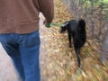 Man Walking Dog Royalty Free Stock Photo