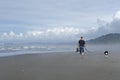 Man walking Dog on Beach Royalty Free Stock Photo