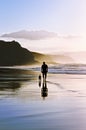 Man walking the dog on beach Royalty Free Stock Photo