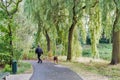 A man is walking a dog in the park, blurred Royalty Free Stock Photo