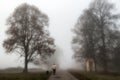 A man walking with a dog on a road in foggy autumn park in the morning Royalty Free Stock Photo