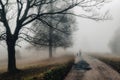 A man walking with a dog on a road in foggy autumn park in the morning Royalty Free Stock Photo