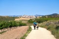 Pilgrim walking the Camino de Santiago toward Cirauqui with a dog