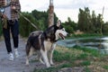 Man walking with a dog on the waterfront in the evening Royalty Free Stock Photo