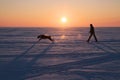 Man walking with a dog Royalty Free Stock Photo