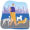 Man walking with dogs as a dog breeding concept, flat vector stock illustration with owner and dolmatian, corgi, poodle