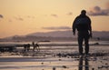 Man walking the dogs on a beach at sunset Royalty Free Stock Photo