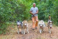 Man walking the dogs with four huskies