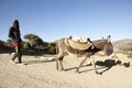 A man walking with a donkey, Ethiopia