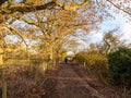 man walking down autumn country path lane rambling outside nature way direction place countryside Royalty Free Stock Photo