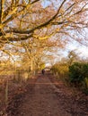 man walking down autumn country path lane rambling outside nature way direction place countryside Royalty Free Stock Photo