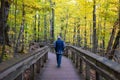 Man walking down hiking path in autumn Royalty Free Stock Photo