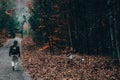 A Man Walking Down a Stone Path in an Autumn Forest Royalty Free Stock Photo