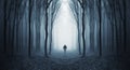 Man walking in a fairytalke dark forest with fog