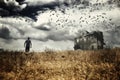 Man walking in a field Royalty Free Stock Photo