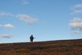 Man walking at flat mountain in Finnmark, bird hunting for grouse bird