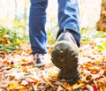 Man walking on a forest path Royalty Free Stock Photo