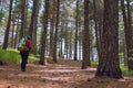 Man Walking In The Forest Pines Of Etna Park, Sicily