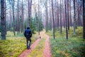 Man walking in forest and dog Royalty Free Stock Photo