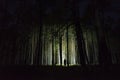 Man walking in forest shining with flashlight.