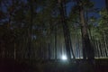 Man walking in forest shining with flashlight.