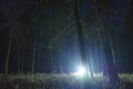 Man walking in forest shining with flashlight.