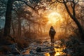 Man walking in the forest at sunset with fog and sunbeams Royalty Free Stock Photo
