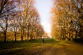 A man walking through Green Park in London