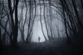 Man walking in Halloween mysterious forest with fog Royalty Free Stock Photo